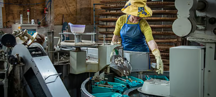 People Development: Building the Future Workforce for the Resources Industry